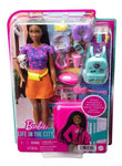 Barbie Family Brooklyn Pronta Para Viajar- Hgx55 - Mattel