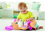 Fisher-price Infant Smart Stages Irma Do Cachorrin - Fvc81 - Mattel