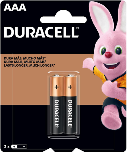 Pilha Alcalina Palito AAA 2 unid. - DURACELL - playnjoy.shop